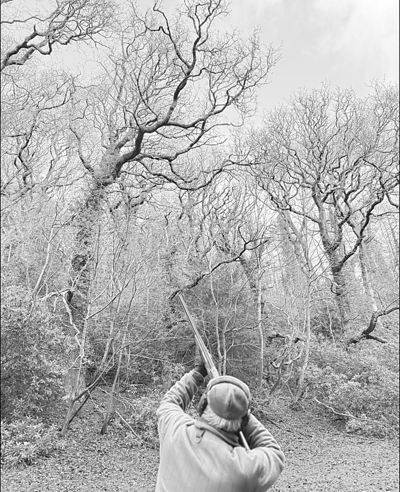 A shot taken on a winter shoot day